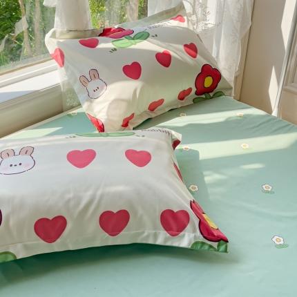 金鑫汇 2023新款喷气全棉枕套一对 初暖