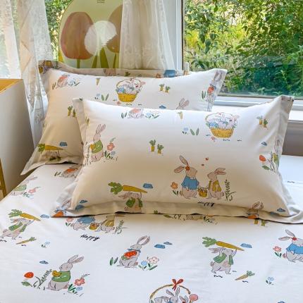 金鑫汇 2023新款喷气全棉枕套一对 收货满满