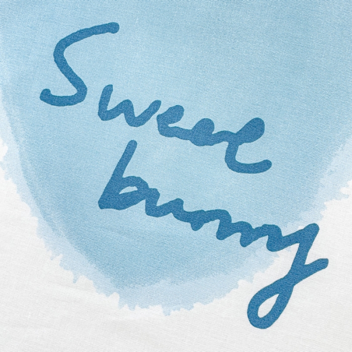 91家纺网 家纺一手货源 找家纺 金鑫汇 2023新款喷气全棉枕套一对 心心念念