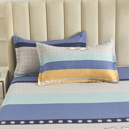 91家纺网 家纺一手货源 找家纺 （总）鑫缘 2025新款印花植物羊绒加厚磨毛单枕套