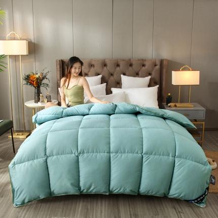 91家纺网 家纺一手货源 找家纺 （总）好梦缘 2023新款纯色双拼羽丝绒被被子被芯