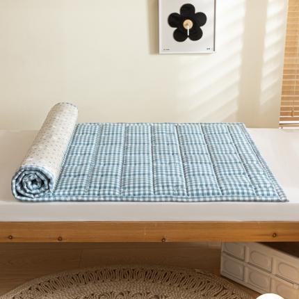 91家纺网 家纺一手货源 找家纺 东宇2023新款A类全棉水洗棉夹棉学生床垫 海蓝小格