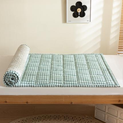 91家纺网 家纺一手货源 找家纺 东宇2023新款A类全棉水洗棉夹棉学生床垫 绿小格