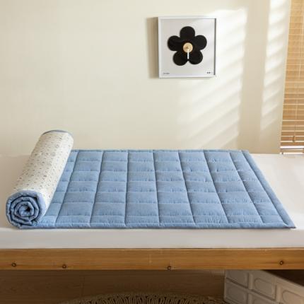 91家纺网 家纺一手货源 找家纺 （总）东宇2023新款A类全棉水洗棉夹棉学生床垫