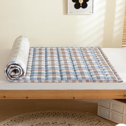 91家纺网 家纺一手货源 找家纺 东宇2023新款A类全棉水洗棉夹棉学生床垫 七彩格蓝