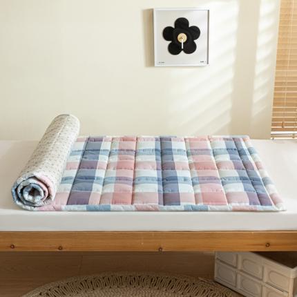 91家纺网 家纺一手货源 找家纺 东宇2023新款A类全棉水洗棉夹棉学生床垫 英伦粉