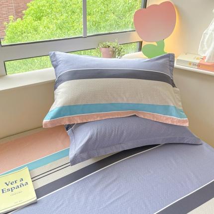 91家纺网 家纺一手货源 找家纺 莱通 2024新款12868印花四件套系列-单枕套 星空