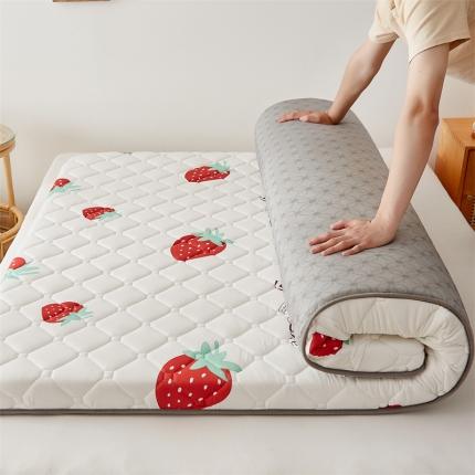 绫帛薇布 2023新款磨毛防滑学生床垫成人床厚度约4cm 甜心草莓
