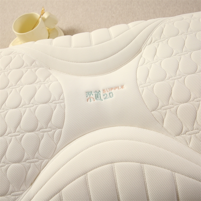 91家纺网 家纺一手货源 找家纺 赛格时代  2023新款柔道护颈定型羽丝绒枕