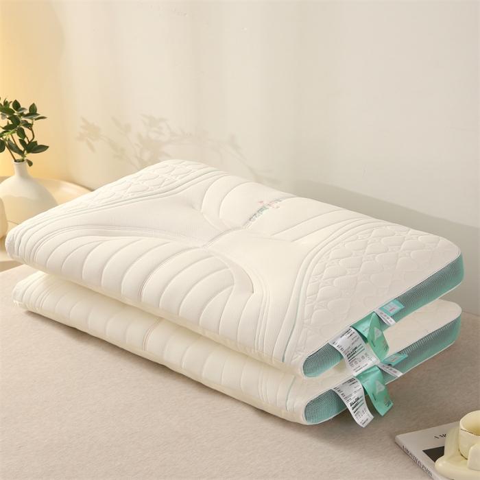 91家纺网 家纺一手货源 找家纺 赛格时代 2023新款柔道舒适定型羽丝绒枕