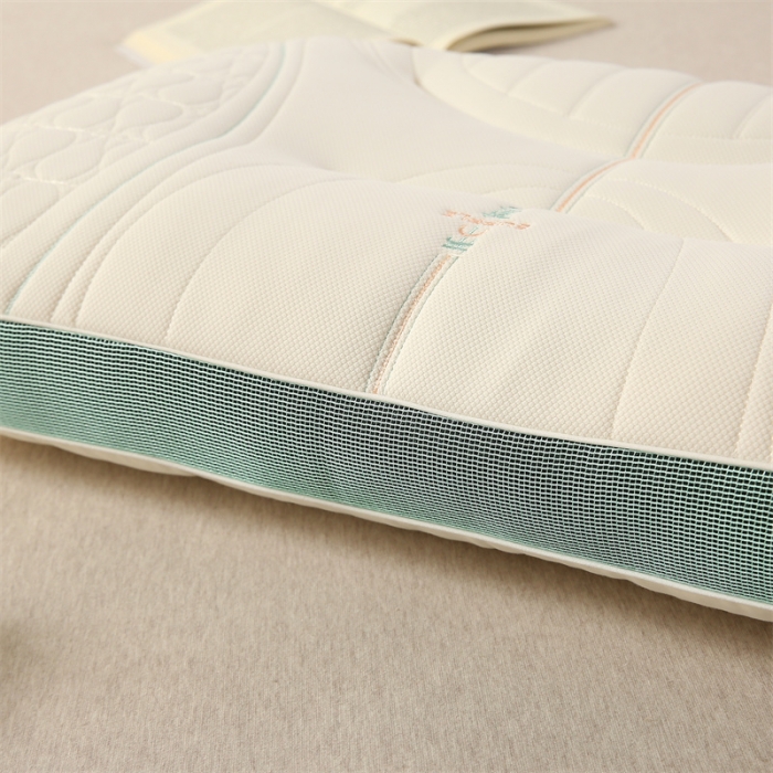 91家纺网 家纺一手货源 找家纺 赛格时代 2023新款柔道舒适定型羽丝绒枕