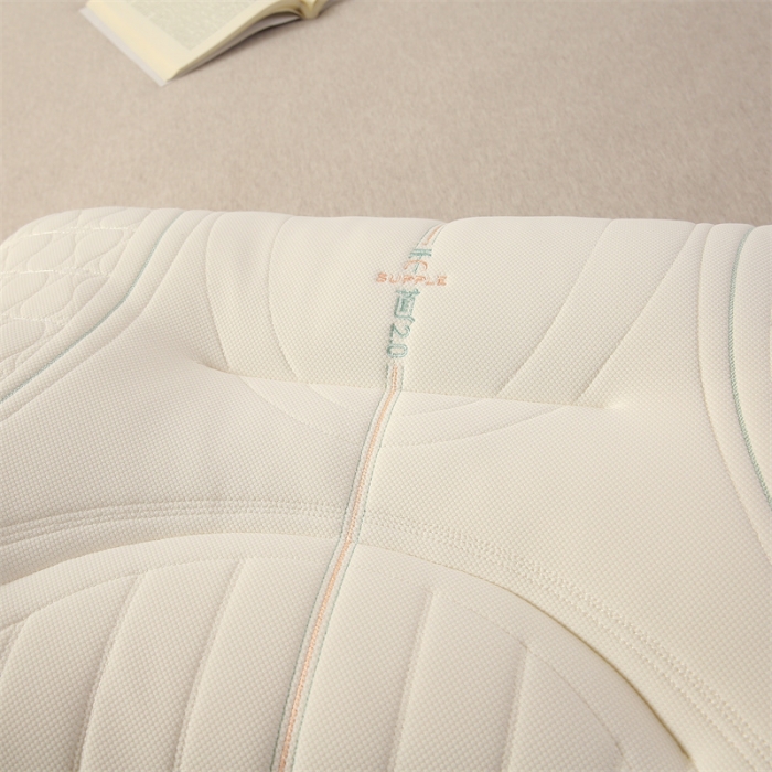 91家纺网 家纺一手货源 找家纺 赛格时代 2023新款柔道舒适定型羽丝绒枕