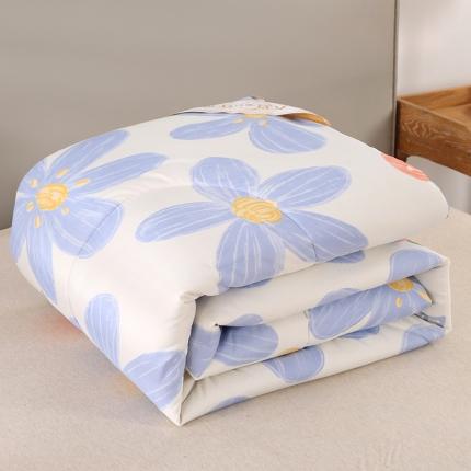 91家纺网 家纺一手货源 找家纺 （总）百花王 2023新款原棉大豆被夏被四季被-风格二