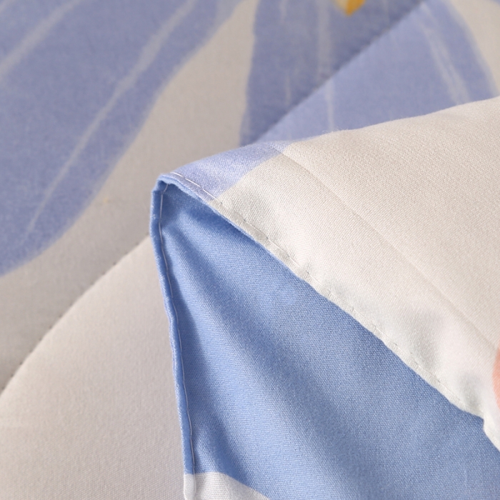 91家纺网 家纺一手货源 找家纺 百花王 2023新款原棉大豆被夏被四季被-风格二 伊朵兰