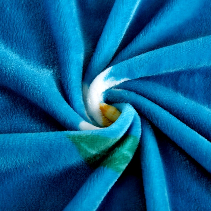 91家纺网 家纺一手货源 找家纺 赋雅 新款300克双面绒毯子超柔加厚云貂绒法莱绒 雏菊 蓝