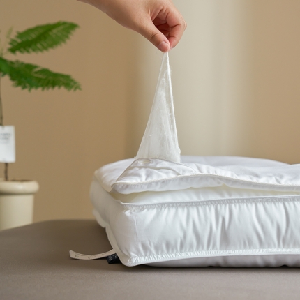 91家纺网 家纺一手货源 找家纺 （总）2025新款 奢享美蚕丝枕 提花桑蚕丝（长丝）护颈抗菌枕