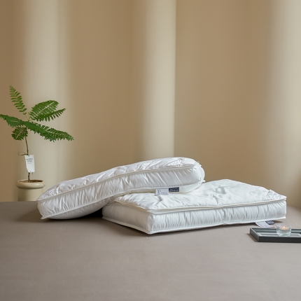 91家纺网 家纺一手货源 找家纺 （总）2025新款 奢享美蚕丝枕 提花桑蚕丝（长丝）护颈抗菌枕