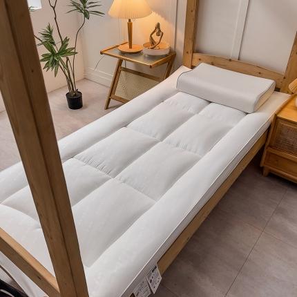 91家纺网 家纺一手货源 找家纺 （总）斯尔顿 2025新款A类抗菌防霉全季酒店同款上下铺床垫