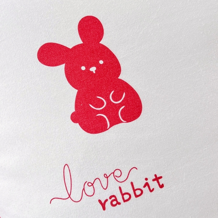 91家纺网 家纺一手货源 找家纺 上尚居 2024新款小清新韩版花边磨毛四件套水洗棉 红小兔