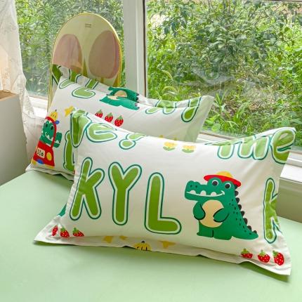 91家纺网 家纺一手货源 找家纺 （总）金鑫汇 2023新款喷气全棉枕套一对