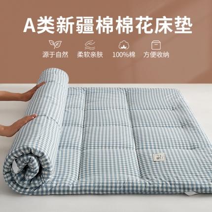 （总）暖阳 2023新款新疆棉花水洗棉成人家用床垫