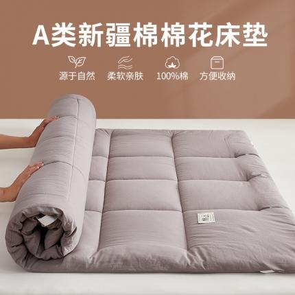 暖阳 2023新款新疆棉花水洗棉成人家用床垫 纯享灰