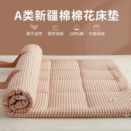 暖阳 2023新款新疆棉花水洗棉成人家用床垫 粉玉小格