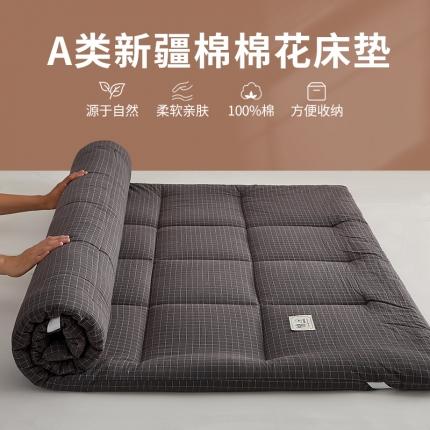 暖阳 2023新款新疆棉花水洗棉成人家用床垫 黑小格