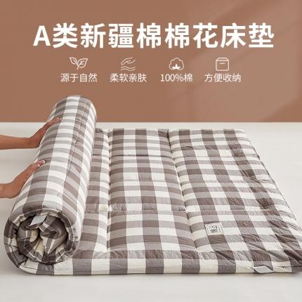 暖阳 2023新款新疆棉花水洗棉成人家用床垫 咖中格