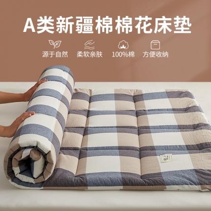 暖阳 2023新款新疆棉花水洗棉成人家用床垫 蓝大格