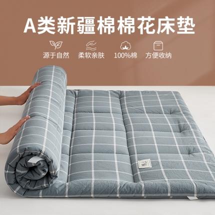 暖阳 2023新款新疆棉花水洗棉成人家用床垫 马卡龙大格