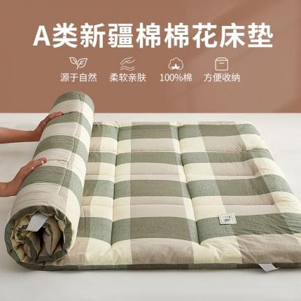 暖阳 2023新款新疆棉花水洗棉成人家用床垫 绿大格