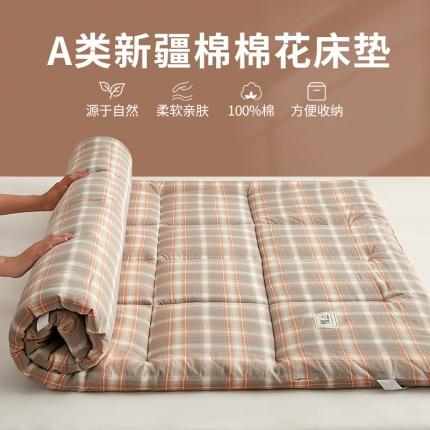 暖阳 2023新款新疆棉花水洗棉成人家用床垫 曼特斯咖格