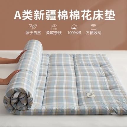 暖阳 2023新款新疆棉花水洗棉成人家用床垫 曼特斯蓝格