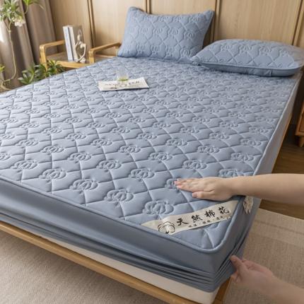 鑫钰 2023新款亲肤棉夹棉新疆棉花床笠床罩床垫保护垫 棉朵-宝石蓝