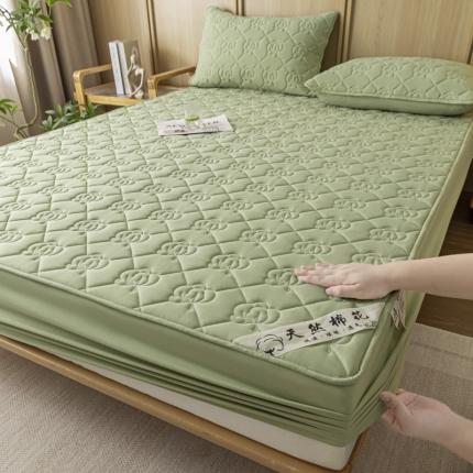 鑫钰 2023新款亲肤棉夹棉新疆棉花床笠床罩床垫保护垫 棉朵-抹茶绿