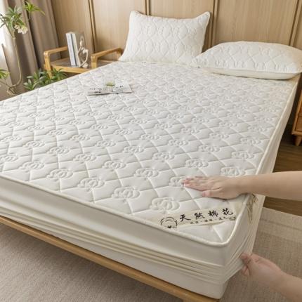 鑫钰 2023新款亲肤棉夹棉新疆棉花床笠床罩床垫保护垫 棉朵-珍珠白
