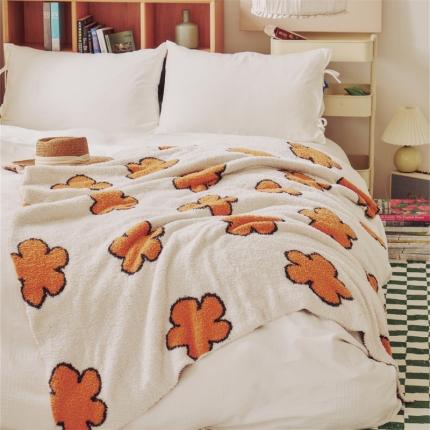 91家纺网 家纺一手货源 找家纺 （总）暖绵绵 2025新款A类半边绒普希米毛毯