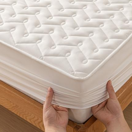 （总）卡伦 2025新款原棉抗菌大豆纤维防水夹棉床笠