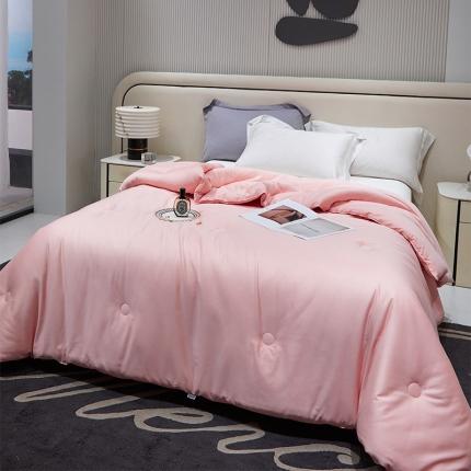 91家纺网 家纺一手货源 找家纺 （总）A+爱家 2024新款豆皇大豆被李官奇大豆被