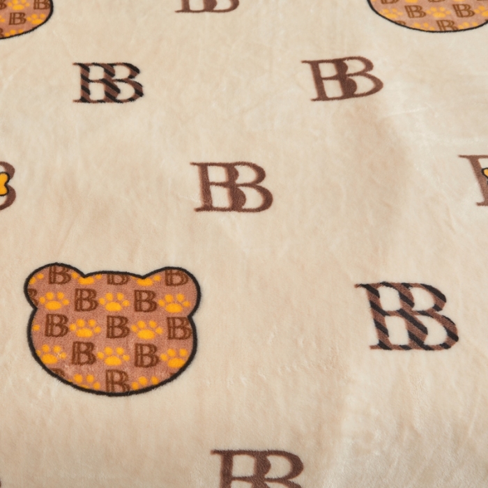 91家纺网 家纺一手货源 找家纺 雅萱 2024新款牛奶绒盖毯子毛毯午睡毯保暖加厚 宝莉熊