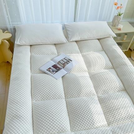 蓝冰2023新款水立方按摩床垫家用榻榻米垫学生宿舍床垫地铺垫背 白拼灰