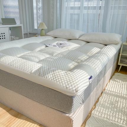 蓝冰2023新款水立方按摩床垫家用榻榻米垫学生宿舍床垫地铺垫背 纯色白