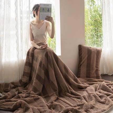 网客 2024新款泰兔绒轻奢毛毯 泰兔绒-咖