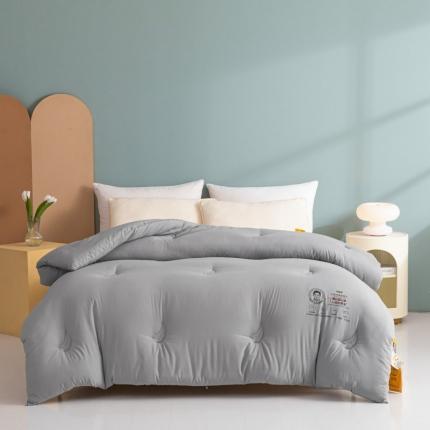 恒科家纺 2025新款正版李官奇速暖大豆被春秋被冬被被芯 浅灰