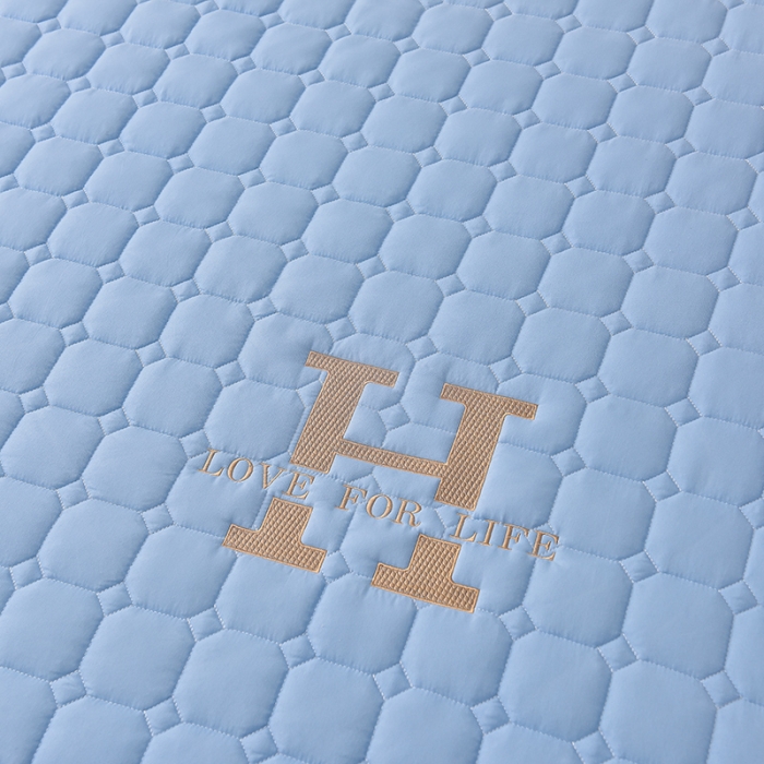 91家纺网 家纺一手货源 找家纺 富威堡家纺 2023新款原棉H标刺绣棉花床笠 刺绣-蓝