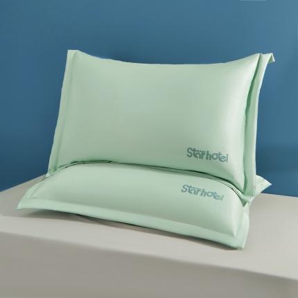 蓝冰家纺 2023新款水洗真丝印花宽边枕套 浅绿