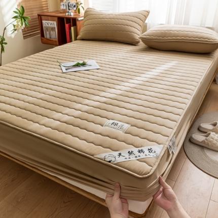 鑫钰 2023新款亲肤棉新疆棉花原棉床笠床罩床垫保护垫 奶咖