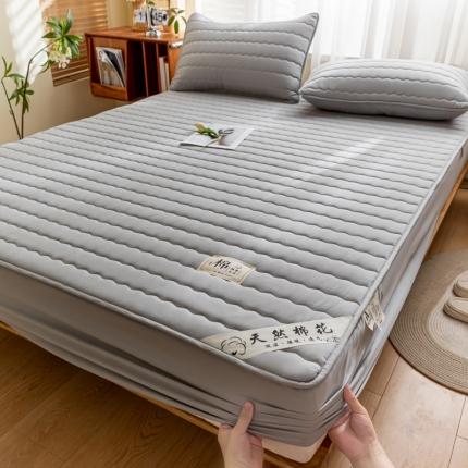 鑫钰 2023新款亲肤棉新疆棉花原棉床笠床罩床垫保护垫 雅致灰