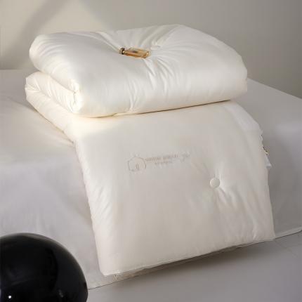 91家纺网 家纺一手货源 找家纺 纪梵茜家纺 高奢李官奇70%大豆被被子被芯-云端场景二